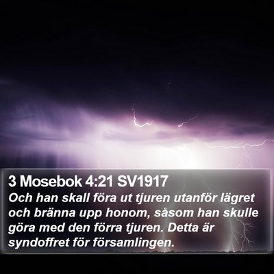 3 Mosebok 4:21 SV1917 Bible Verse Image