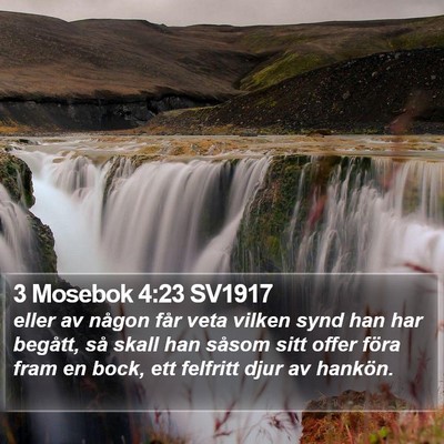3 Mosebok 4:23 SV1917 Bible Verse Image