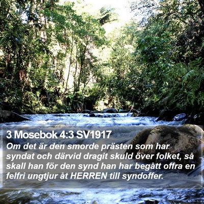 3 Mosebok 4:3 SV1917 Bible Verse Image