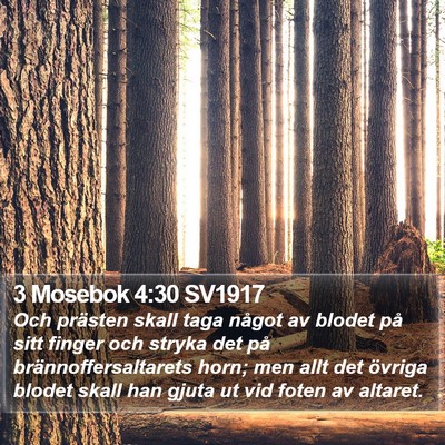 3 Mosebok 4:30 SV1917 Bible Verse Image