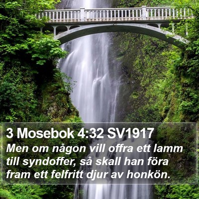 3 Mosebok 4:32 SV1917 Bible Verse Image
