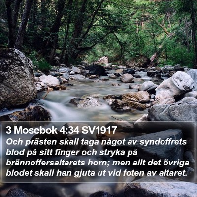 3 Mosebok 4:34 SV1917 Bible Verse Image
