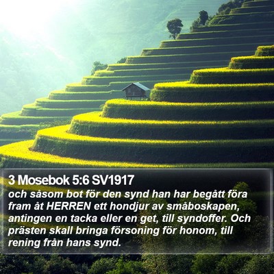 3 Mosebok 5:6 SV1917 Bible Verse Image