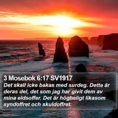 3 Mosebok 6:17 SV1917 Bible Verse Image