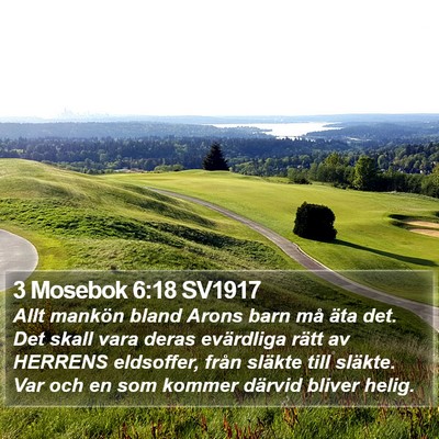 3 Mosebok 6:18 SV1917 Bible Verse Image