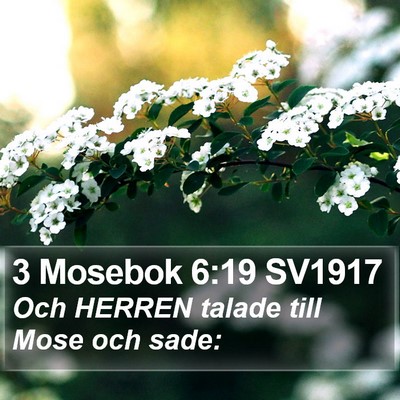 3 Mosebok 6:19 SV1917 Bible Verse Image