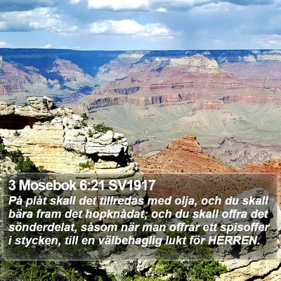 3 Mosebok 6:21 SV1917 Bible Verse Image