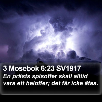 3 Mosebok 6:23 SV1917 Bible Verse Image