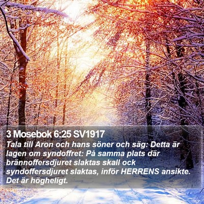 3 Mosebok 6:25 SV1917 Bible Verse Image