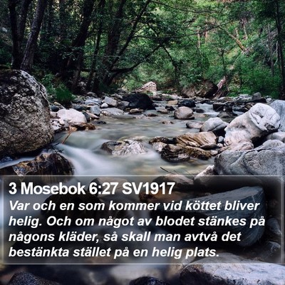 3 Mosebok 6:27 SV1917 Bible Verse Image