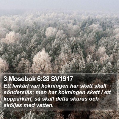 3 Mosebok 6:28 SV1917 Bible Verse Image