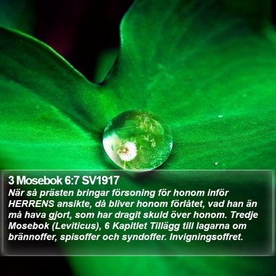 3 Mosebok 6:7 SV1917 Bible Verse Image