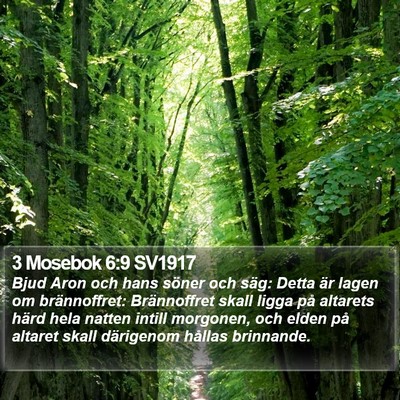 3 Mosebok 6:9 SV1917 Bible Verse Image