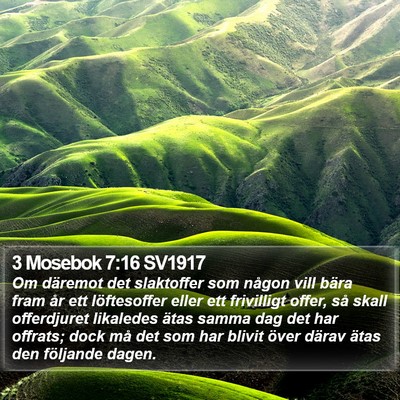 3 Mosebok 7:16 SV1917 Bible Verse Image