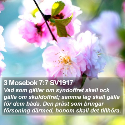 3 Mosebok 7:7 SV1917 Bible Verse Image