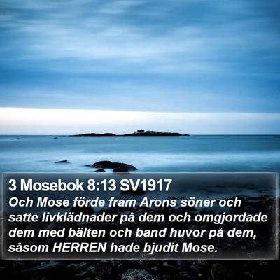3 Mosebok 8:13 SV1917 Bible Verse Image