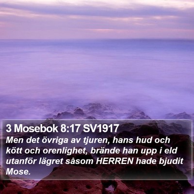 3 Mosebok 8:17 SV1917 Bible Verse Image