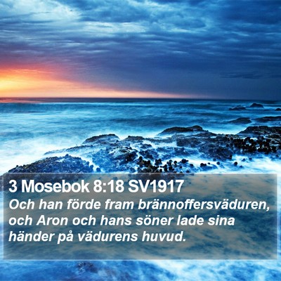 3 Mosebok 8:18 SV1917 Bible Verse Image