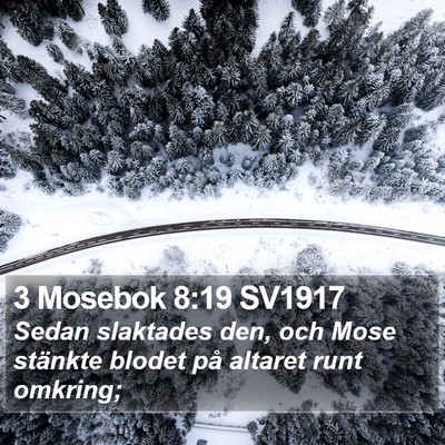 3 Mosebok 8:19 SV1917 Bible Verse Image