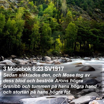 3 Mosebok 8:23 SV1917 Bible Verse Image
