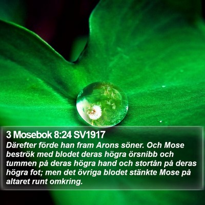 3 Mosebok 8:24 SV1917 Bible Verse Image