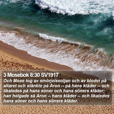 3 Mosebok 8:30 SV1917 Bible Verse Image