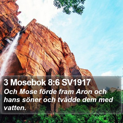 3 Mosebok 8:6 SV1917 Bible Verse Image
