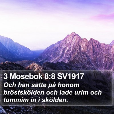 3 Mosebok 8:8 SV1917 Bible Verse Image