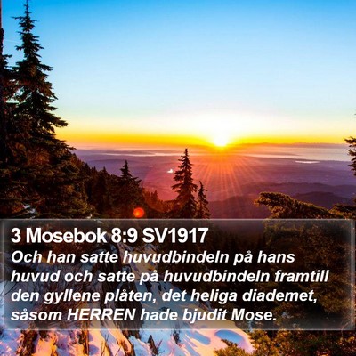 3 Mosebok 8:9 SV1917 Bible Verse Image