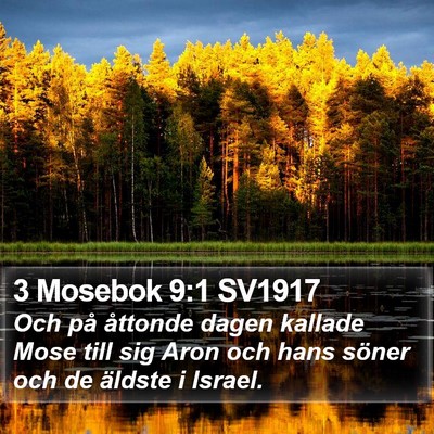 3 Mosebok 9:1 SV1917 Bible Verse Image