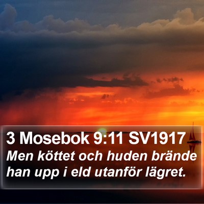 3 Mosebok 9:11 SV1917 Bible Verse Image