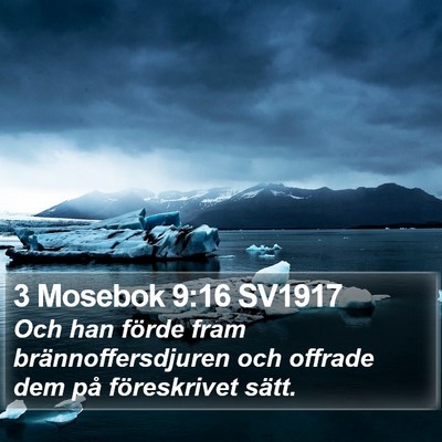 3 Mosebok 9:16 SV1917 Bible Verse Image