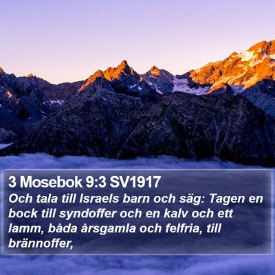 3 Mosebok 9:3 SV1917 Bible Verse Image