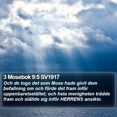 3 Mosebok 9:5 SV1917 Bible Verse Image