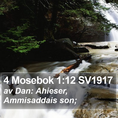 4 Mosebok 1:12 SV1917 Bible Verse Image