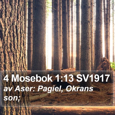 4 Mosebok 1:13 SV1917 Bible Verse Image