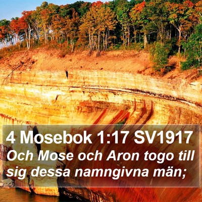 4 Mosebok 1:17 SV1917 Bible Verse Image