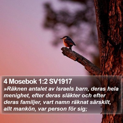 4 Mosebok 1:2 SV1917 Bible Verse Image