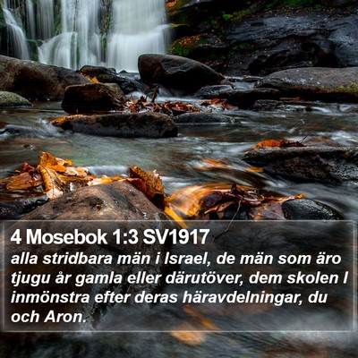 4 Mosebok 1:3 SV1917 Bible Verse Image