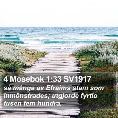4 Mosebok 1:33 SV1917 Bible Verse Image