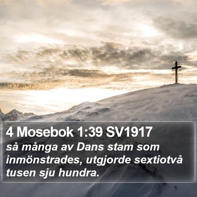4 Mosebok 1:39 SV1917 Bible Verse Image