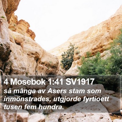 4 Mosebok 1:41 SV1917 Bible Verse Image
