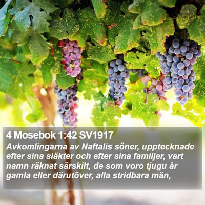 4 Mosebok 1:42 SV1917 Bible Verse Image