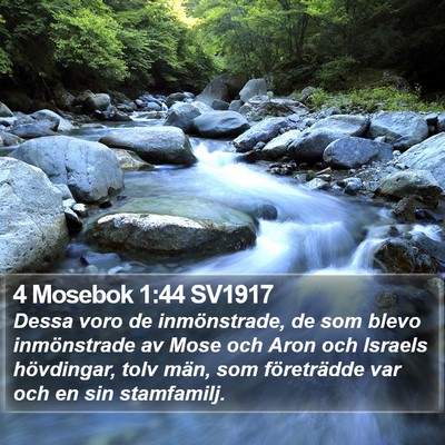 4 Mosebok 1:44 SV1917 Bible Verse Image
