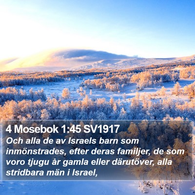 4 Mosebok 1:45 SV1917 Bible Verse Image