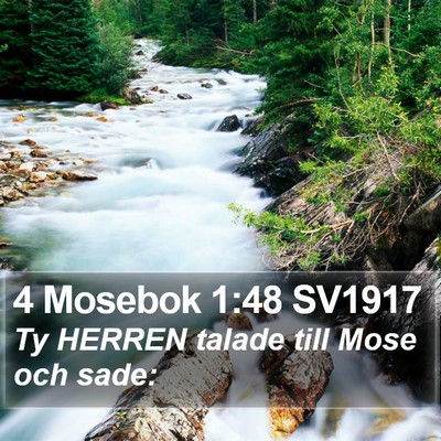 4 Mosebok 1:48 SV1917 Bible Verse Image