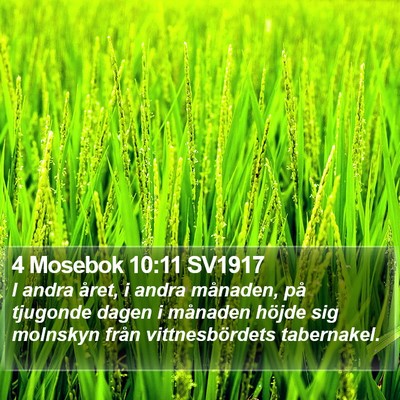 4 Mosebok 10:11 SV1917 Bible Verse Image
