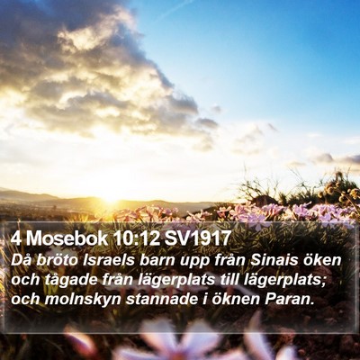 4 Mosebok 10:12 SV1917 Bible Verse Image