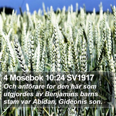 4 Mosebok 10:24 SV1917 Bible Verse Image