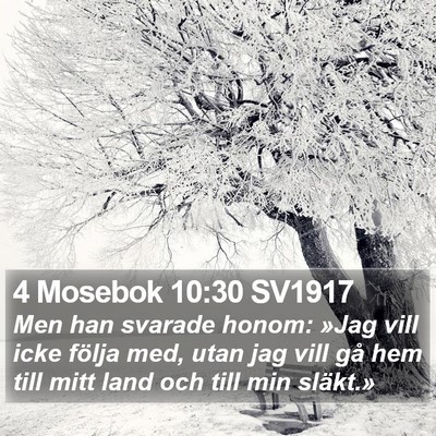 4 Mosebok 10:30 SV1917 Bible Verse Image